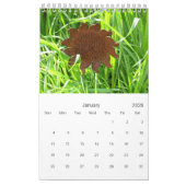 カレンダー – ペ独身のージ – 庭の花 (1月 2026)