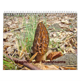 カレンダー-マッシュルーム カレンダー
