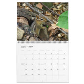 カレンダー – ワイルドなモノが住む場所 (3月 2027)