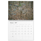 カレンダー – ワイルドなモノが住む場所 (2月 2027)