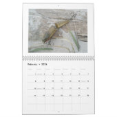 カレンダー – ヴィンテージ塩水ルアー (2月 2026)