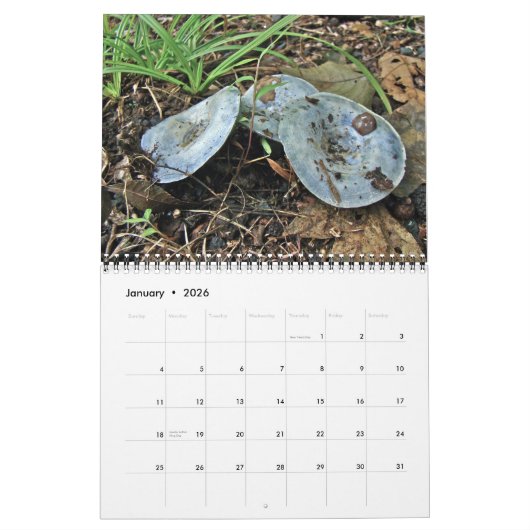 カレンダー – 主に青 (1月 2026)