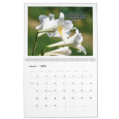 カレンダー – 主は鬱病から救われる。 (3月 2026)