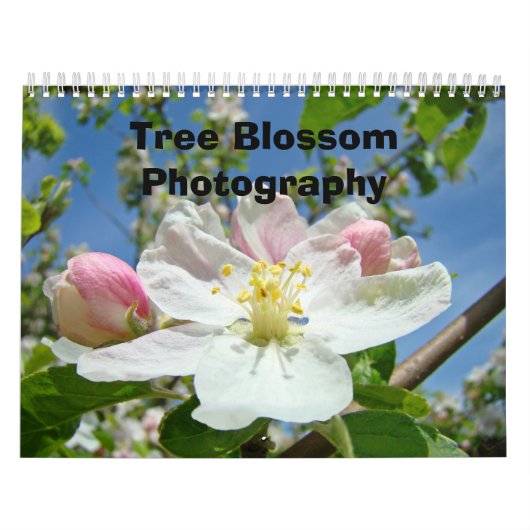カレンダー 写真 樹 木の花 自然 (カバー)