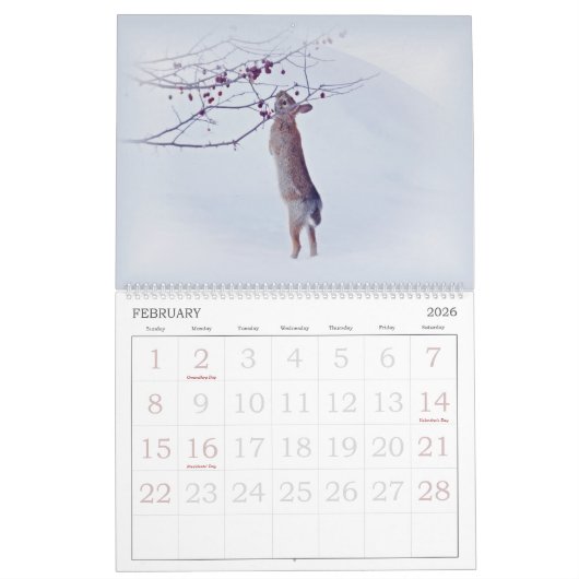 カレンダー-分類されたイメージ-大きい数を用いる… カレンダー (2月 2026)