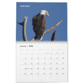 カレンダー – 北米の猛禽類 (1月 2026)