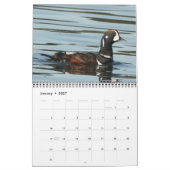 カレンダー-北米の鳥の写真 カレンダー (1月 2027)