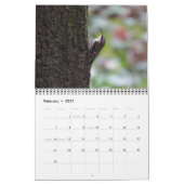カレンダー-北米の鳥の写真 カレンダー (2月 2027)