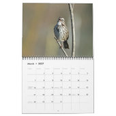 カレンダー – 北米産の鳥類の写真 (3月 2027)