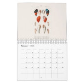 カレンダー：博物学 カレンダー (2月 2026)