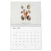 カレンダー：博物学 カレンダー (3月 2026)