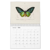 カレンダー：博物学 カレンダー (1月 2026)