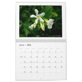 カレンダー: 敏感な自然 カレンダー (3月 2026)