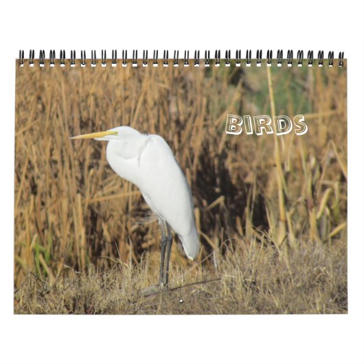 カレンダー – 新年の鳥 (カバー)