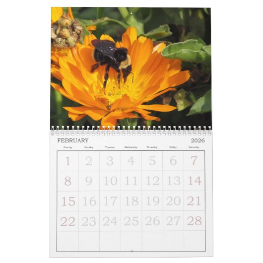 カレンダー – 昆虫 (2月 2026)