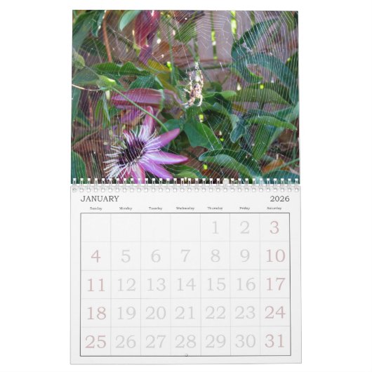 カレンダー – 昆虫 (1月 2026)