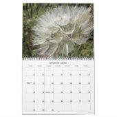 カレンダー～果実&種子 カレンダー (3月 2026)