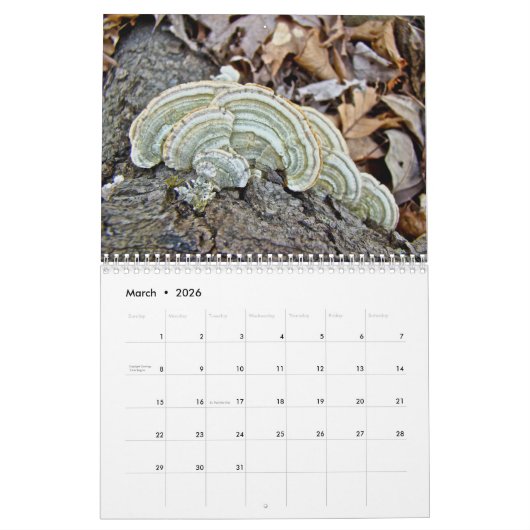 カレンダー – 森の素晴らしい菌類 (3月 2026)