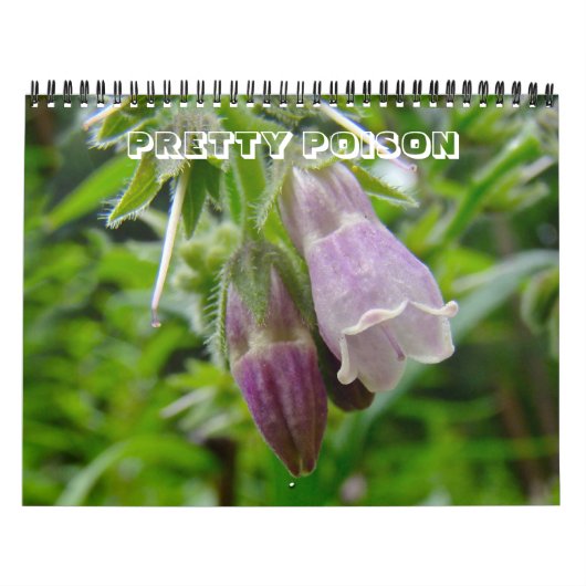 カレンダー – 毒かわいらし剤 (カバー)