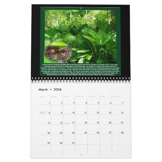 カレンダー – 毒かわいらし剤 (3月 2026)