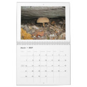 カレンダー-池 カレンダー (3月 2027)