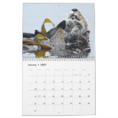 カレンダー、海洋生物、カリフォルニア カレンダー (1月 2027)