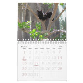 カレンダー – 猫 (3月 2026)