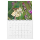 カレンダー – 空中の宝石 (3月 2026)