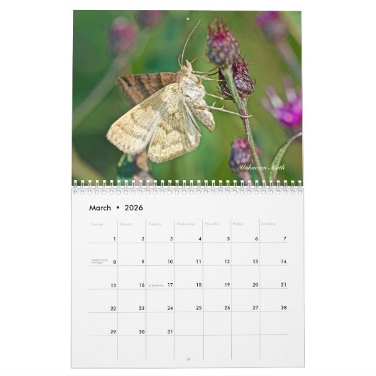 カレンダー – 空中の宝石 (3月 2026)