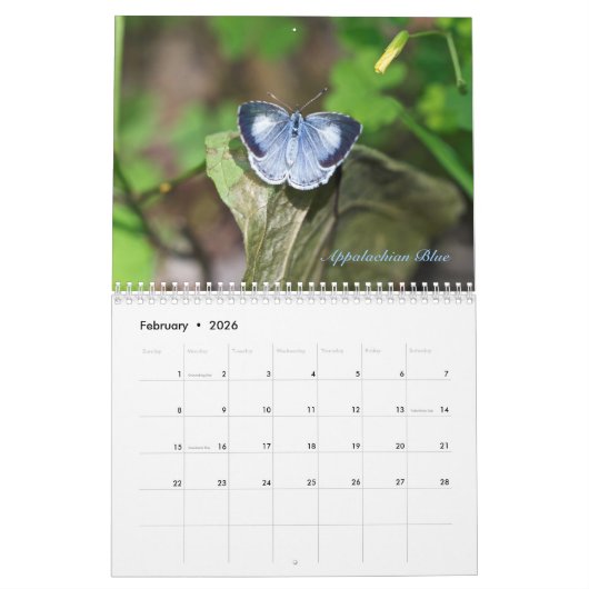 カレンダー – 空中の宝石 (2月 2026)