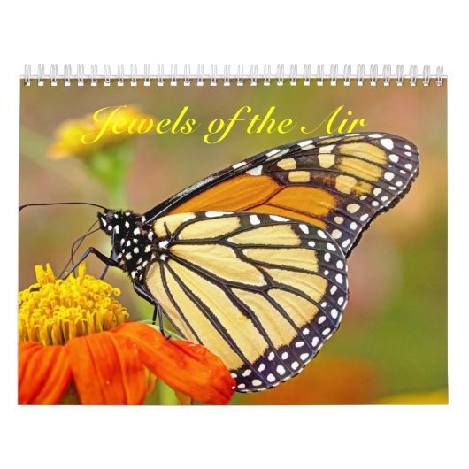 カレンダー – 空中の宝石 (カバー)