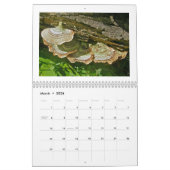 カレンダー – 米国の菌 (3月 2026)