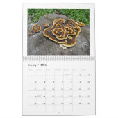 カレンダー – 米国の菌 (1月 2026)