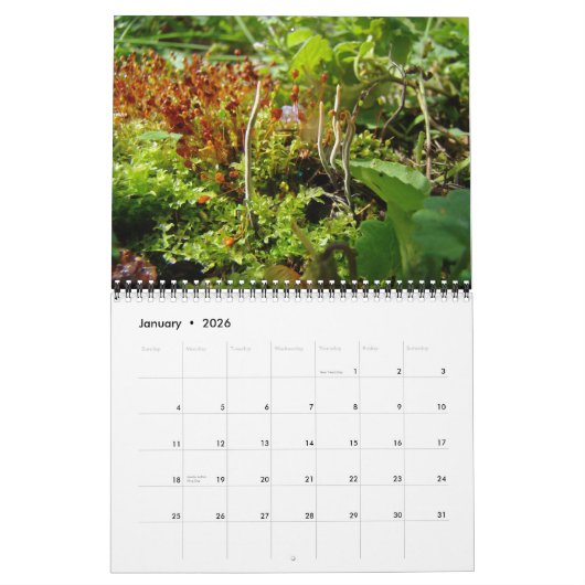 カレンダー – 緑 (1月 2026)