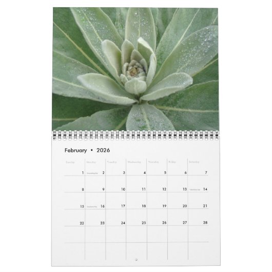 カレンダー – 緑 (2月 2026)