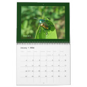 カレンダー – 美しいバグ (1月 2026)