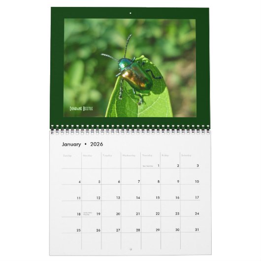 カレンダー – 美しいバグ (1月 2026)