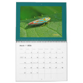 カレンダー – 美しいバグ (3月 2026)