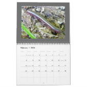 カレンダー – 美しいバグ (2月 2026)