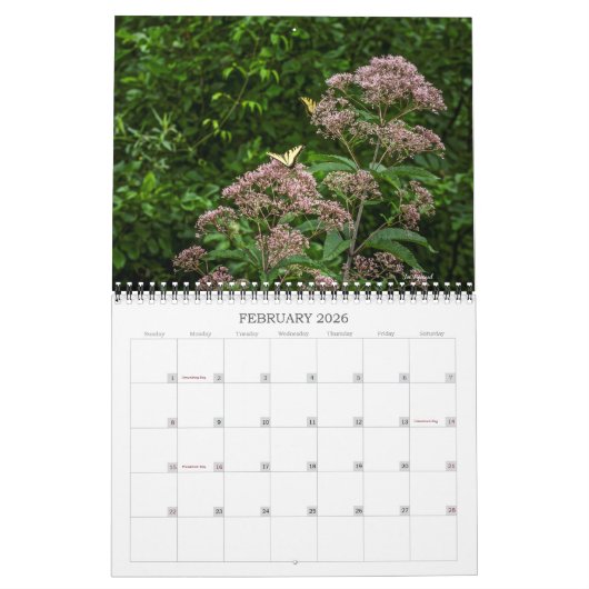カレンダー – 花の夢 (2月 2026)