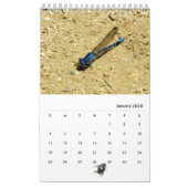 カレンダー – 虫とハエ (1月 2026)