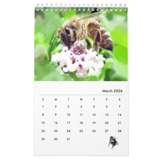 カレンダー – 虫とハエ (3月 2026)