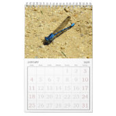 カレンダー – 虫の巻2 (1月 2026)