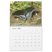 カレンダー – 蝶と蛾 (1月 2026)