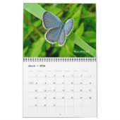 カレンダー – 蝶と蛾 (3月 2026)