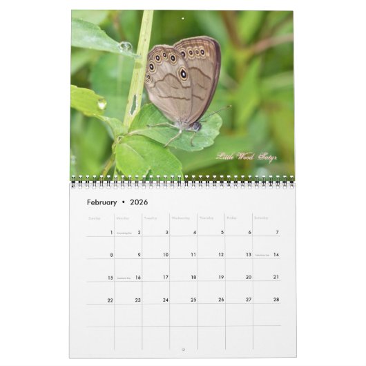 カレンダー – 蝶と蛾 (2月 2026)