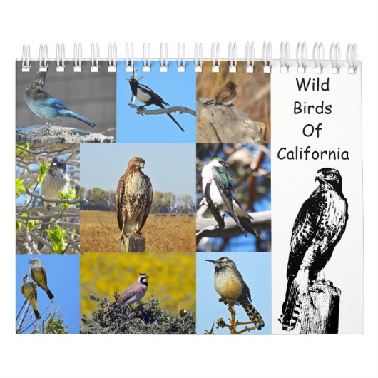 カレンダー、野性生物、カリフォルニアの野生の鳥 カレンダー (カバー)