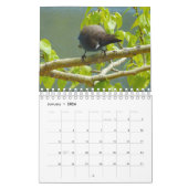 カレンダー、野性生物、カリフォルニアの野生の鳥 カレンダー (1月 2026)