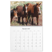 カレンダー、野性生物、野生の馬、米国 カレンダー (1月 2027)