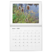 カレンダー – 雑草の種子と果実 (3月 2027)